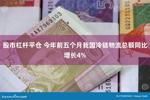 股市杠杆平仓 今年前五个月我国冷链物流总额同比增长4%