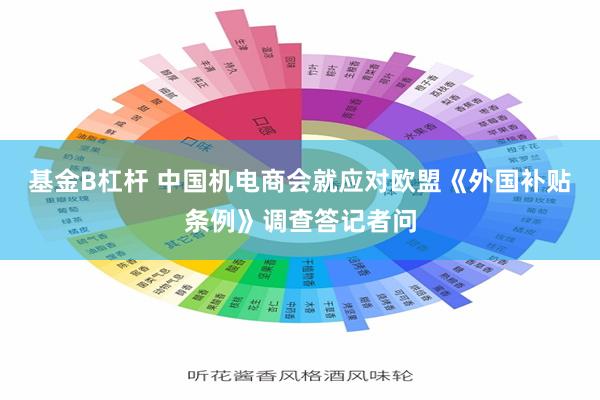 基金B杠杆 中国机电商会就应对欧盟《外国补贴条例》调查答记者问