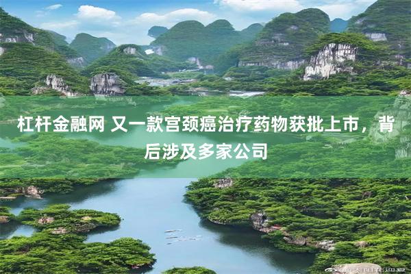 杠杆金融网 又一款宫颈癌治疗药物获批上市，背后涉及多家公司