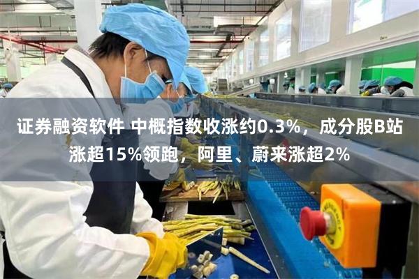 证券融资软件 中概指数收涨约0.3%，成分股B站涨超15%领跑，阿里、蔚来涨超2%