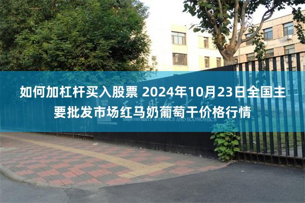 如何加杠杆买入股票 2024年10月23日全国主要批发市场红马奶葡萄干价格行情