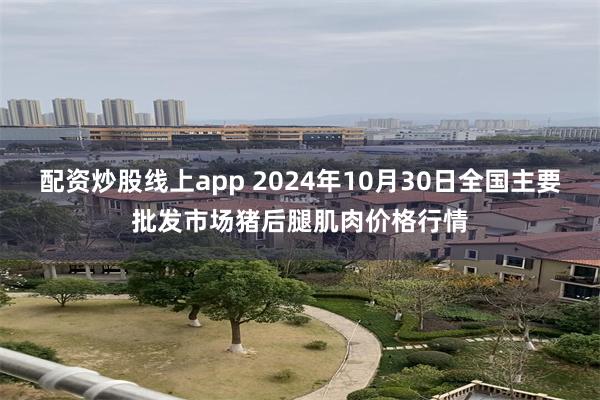 配资炒股线上app 2024年10月30日全国主要批发市场猪后腿肌肉价格行情