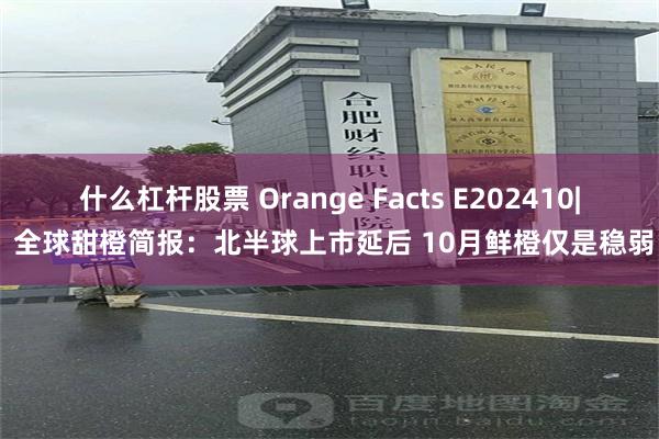 什么杠杆股票 Orange Facts E202410| 全球甜橙简报：北半球上市延后 10月鲜橙仅是稳弱