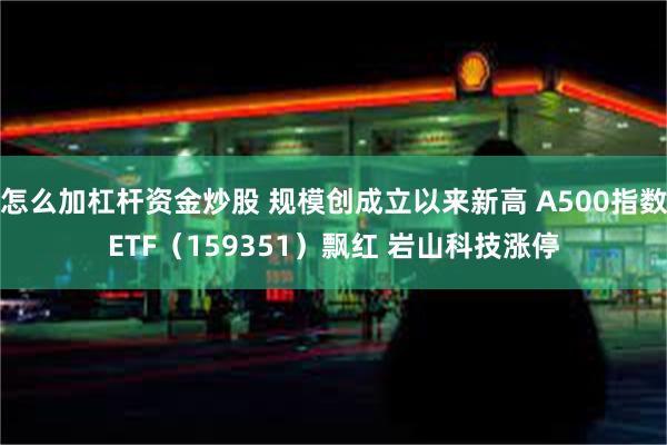 怎么加杠杆资金炒股 规模创成立以来新高 A500指数ETF（159351）飘红 岩山科技涨停