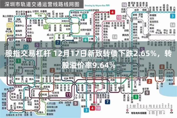 股指交易杠杆 12月17日新致转债下跌2.65%，转股溢价率9.64%