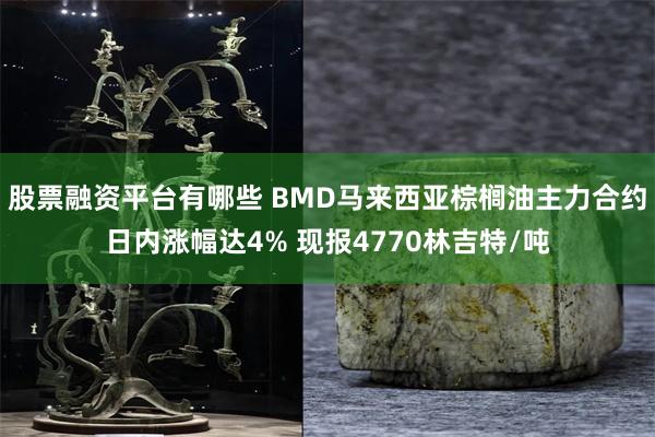 股票融资平台有哪些 BMD马来西亚棕榈油主力合约日内涨幅达4% 现报4770林吉特/吨